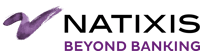 Natixis logo